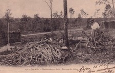 Old postcard côte d'occasion  Expédié en Belgium