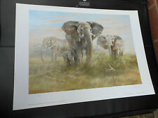 Joel kirk large for sale  MARKET HARBOROUGH