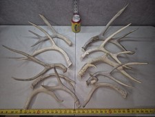 5lbs bulk lot for sale  Valley City