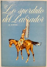 Sperduto del labrador usato  Massa Marittima