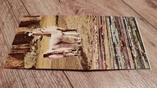 Gloria sammelbilder tierkinder gebraucht kaufen  Langenselbold