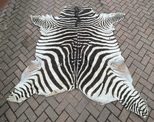 Vintage burchell zebra for sale  HEREFORD