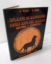 Pezzoli saona atlante usato  Bologna