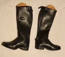 Moretta mens horse for sale  FLEETWOOD