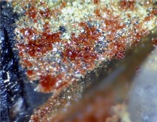 sammeln seltenes mineralien gebraucht kaufen sammeln seltenes mineralien gebraucht kaufen Oberstenfeld