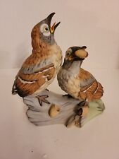 Boehm fledgling brown for sale  Sun City