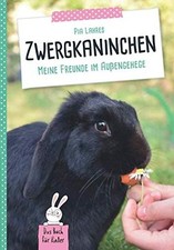 Zwergkaninchen freunde im gebraucht kaufen  Berlin