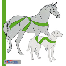 Fascia corpo elastotex usato Fascia corpo elastotex usato  Spedire a Italy