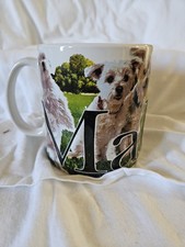 2014 americaware maltese for sale  Saint Peters