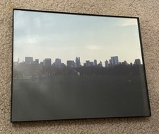 Central park great for sale  New Hyde Park