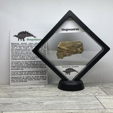 Stegosaurus extinct dinosaur for sale  Davenport