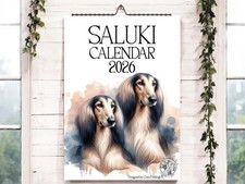 Saluki calendar 2026 for sale  DOVER