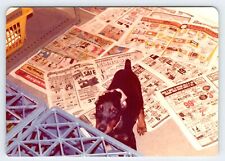 Foto vintage Doberman Pinscher cachorro de 8 semanas década de 1970 arte encontrada R121 comprar usado  Enviando para Brazil