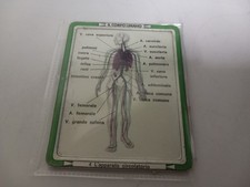 Corpo umano scheda usato  Soverato