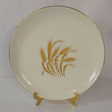 Vintage homer laughlin for sale  Shelbyville