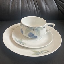Rosenthal tee sammeltasse gebraucht kaufen  Berlin
