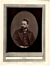 Emile zola écrivain d'occasion  Pagny-sur-Moselle