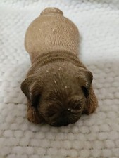 Fawn pug lil for sale  Lancaster