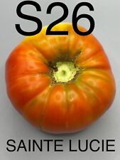 Graine seed tomate d'occasion  La Pacaudière