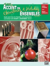 Accent christmas holiday for sale  Minneapolis