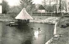 Rathewalde schwanenteich enten gebraucht kaufen  Deutschland