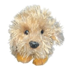 Labradoodle shaggy puppy for sale  Waterbury