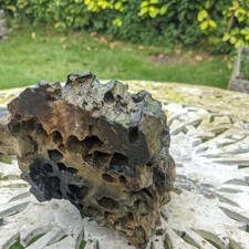 2.3kg aquarium fish for sale  HUNTINGDON