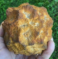 Nodule marcassite nodules d'occasion  Sarlat-la-Canéda