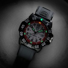 Luminox sea lion for sale  ROTHERHAM