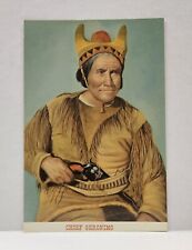 Vintage postcard native for sale  Jackson