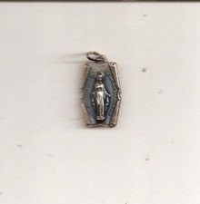 vierge poilu d'occasion  Brest
