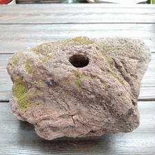 Quellstein lava 25x20x13cm gebraucht kaufen  Frankfurt am Main