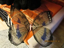 Großer schmetterling zum gebraucht kaufen  Mannheim