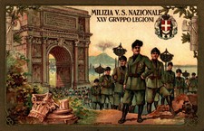 Fascismo m.v.s.n. milizia usato  Stella