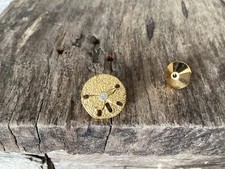 Vintage sand dollar for sale  UK