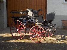 Wagonette zweispännig gebraucht kaufen  Niederkirchen