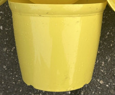 Plastic yellow flower for sale  Saint James