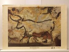 Höhle lascaux steinzeit gebraucht kaufen  Cottbus