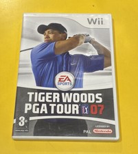 Tiger woods pga usato  Italia
