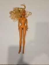 Barbie doll group for sale  Mulberry
