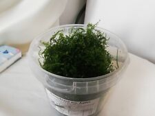aquarium moos gebraucht kaufen aquarium moos gebraucht kaufen Berlin