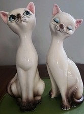 Mcm siamese cats for sale  Baldwinsville