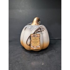 Harvest autumn pumpkin for sale  Jacksonville