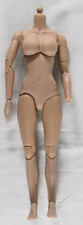 Scale jointed female for sale  Mooresville