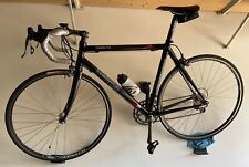 Bicicletta rabottini con usato  Pescara