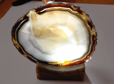 Achatscheibe achat ständer gebraucht kaufen Achatscheibe achat ständer gebraucht kaufen  Siegen