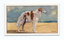 Borzoi gallaher 1936 for sale  COLEFORD