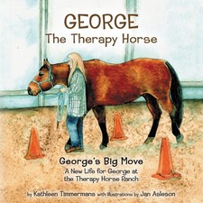 George therapy horse for sale  Wichita
