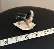 wanted springer spaniel for sale wanted springer spaniel for sale Saint Paul