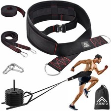 Sled pulling belt for sale  Brentwood